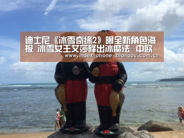 中欧体育官网