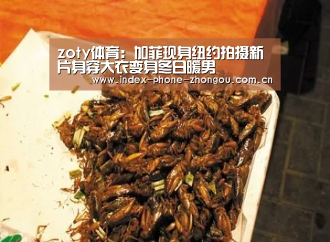 中欧体育官网