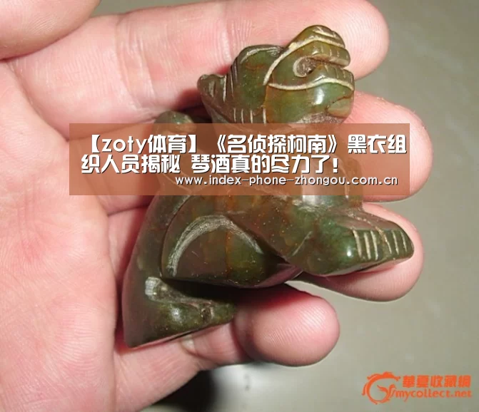 中欧体育官网