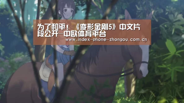 中欧体育平台