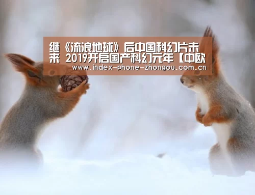 中欧体育